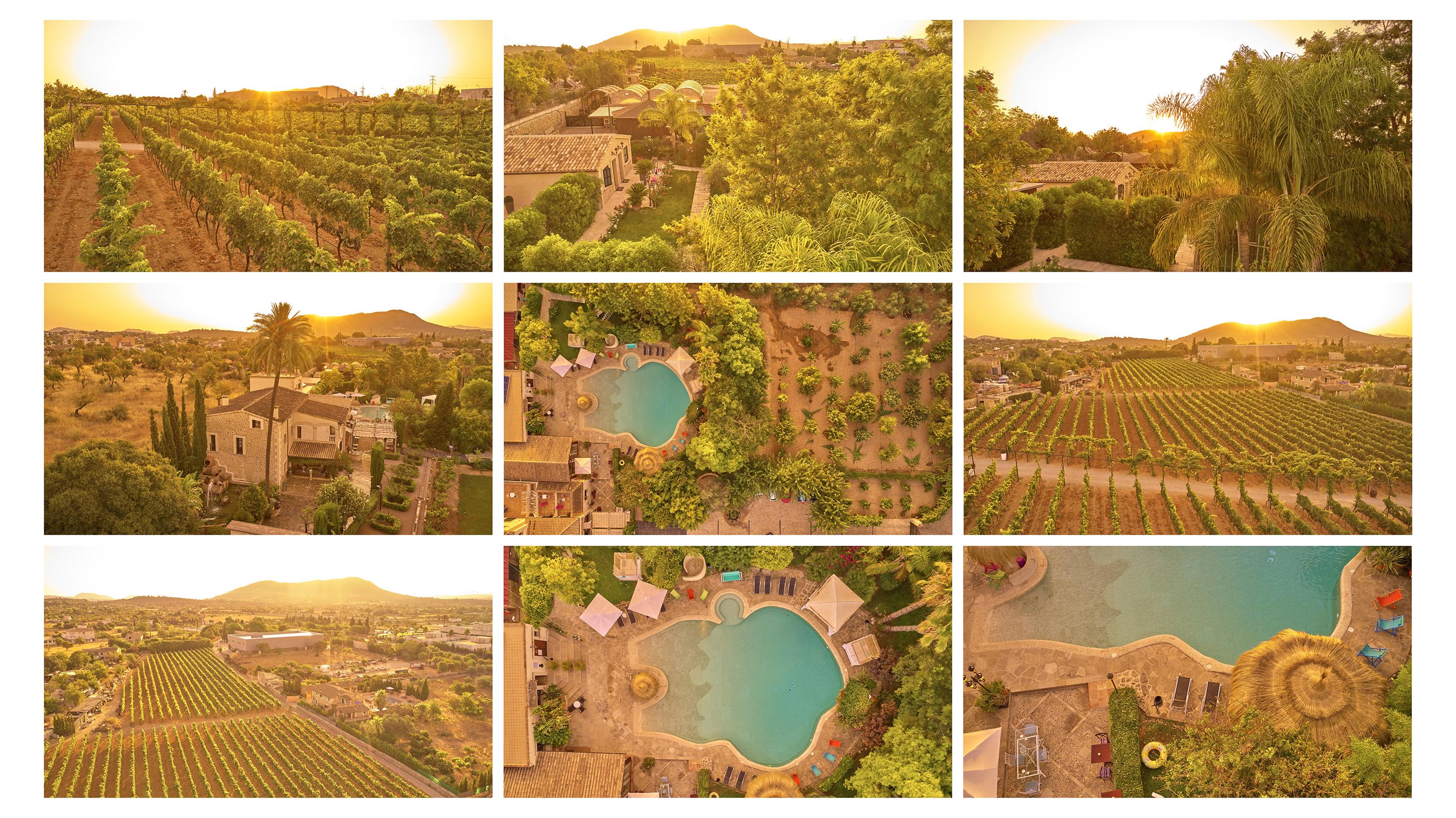 Agroturismo Sa Vinya Des Convent インカ エクステリア 写真